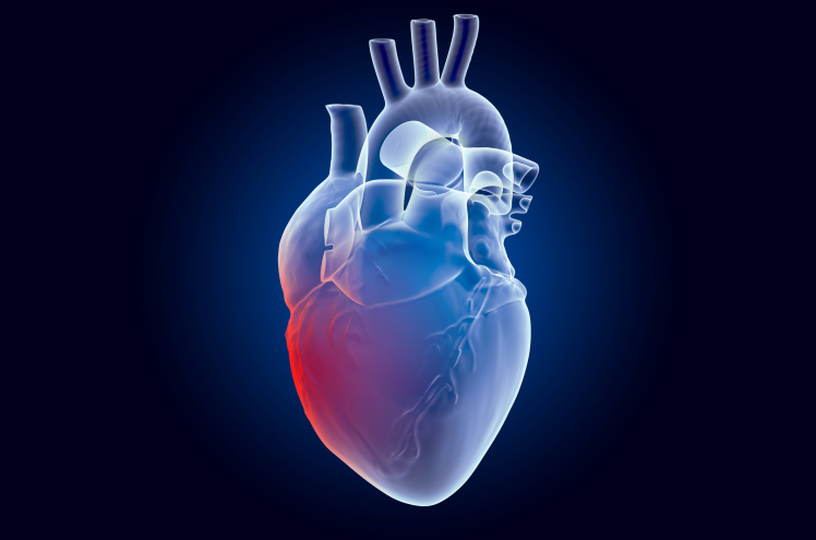 آشنایی با فناوری HeartMate 3